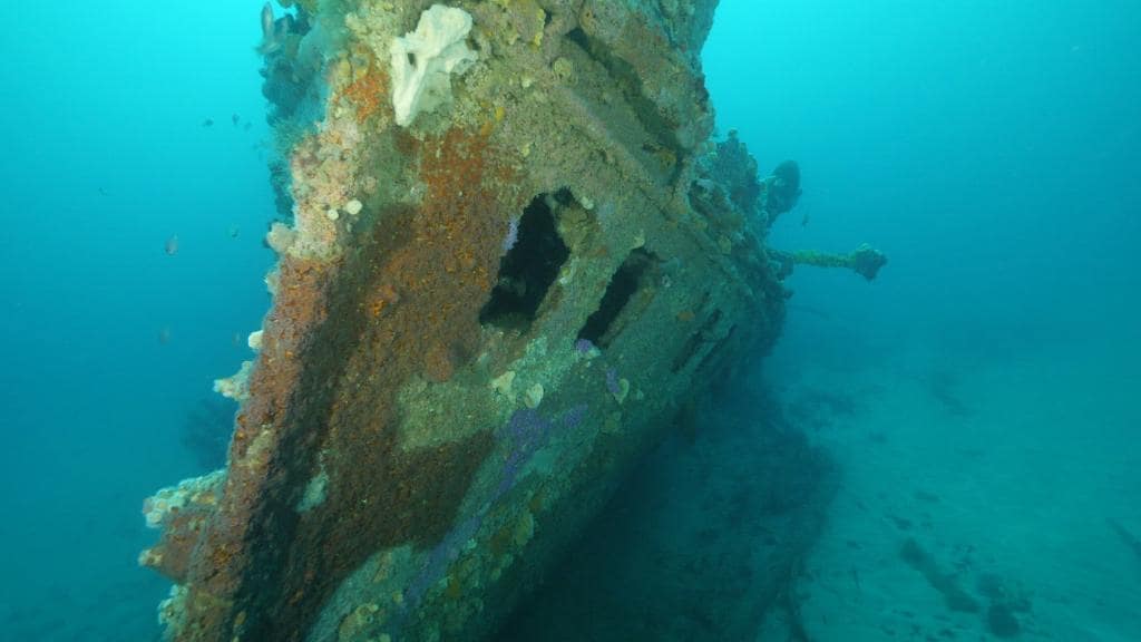 20+ Famous Australian Shipwrecks | Historic Shipwrecks Around Australia