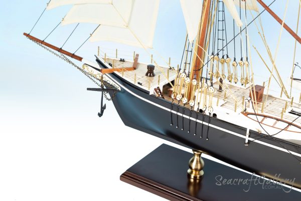 Endurance model ship